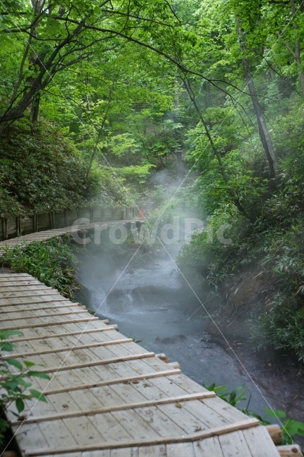 북해도,노보리베츠,숲,온천계곡,음산함,신비한,자연풍경,자연,풍경,nature,landscape,해외,외국,세계,foreign,oversea,world,water,물
