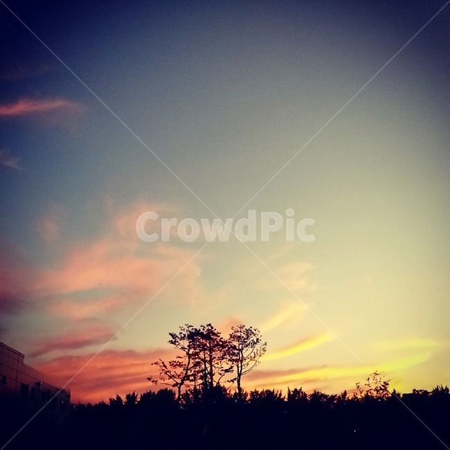 전경,해질녁,노을,하늘,구름,landscape,sky,panorama,evening,cloud