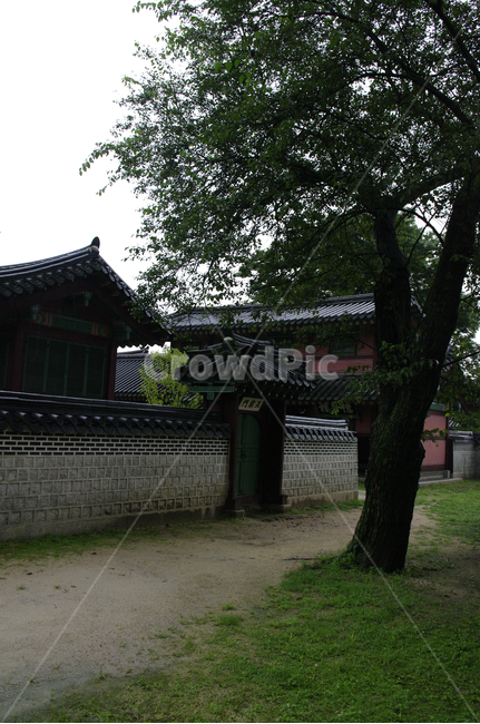 창덕궁,고궁,한옥,전통가옥,기와지붕,건축,traditional,담장,한국전통,한국문화,korean traditional,korean culture,랜드마크,landmark,tourist attraction,한국랜드마크,한국관광지,한국명소,korea landmark,korea tourist attraction,건축물,건물외관,exterior,building,structure,architecture,construction