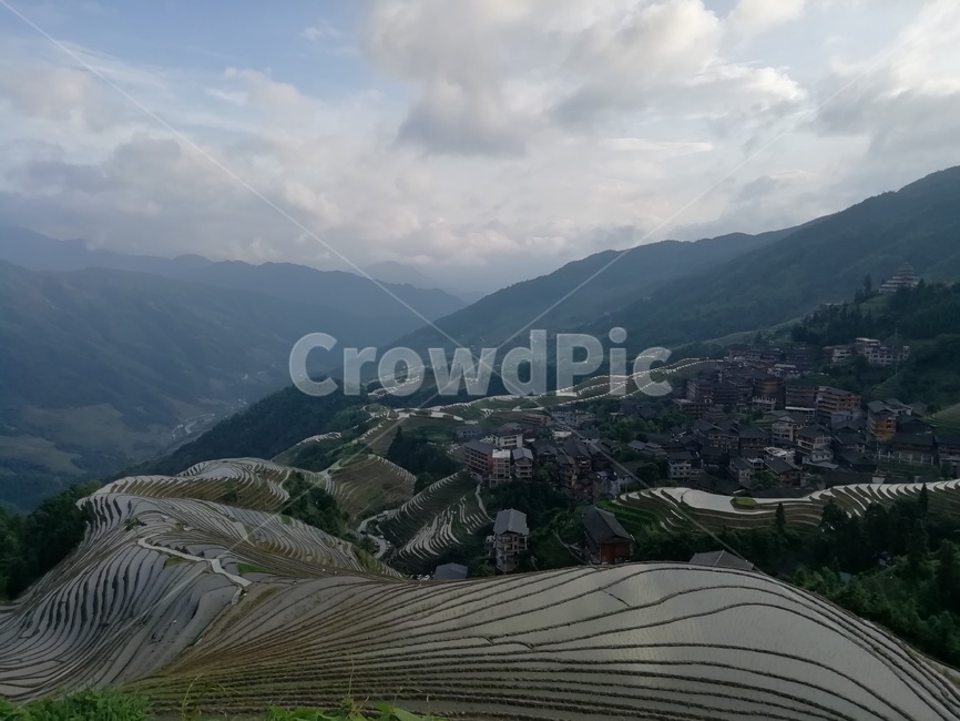 다락논,다랭이논,계림,용적제전,구룡오호,자연,풍경,nature,landscape,농업,농사,agriculture,farming,farming industry,경치,outdoors,옥외,scenery,aerial view,조감도