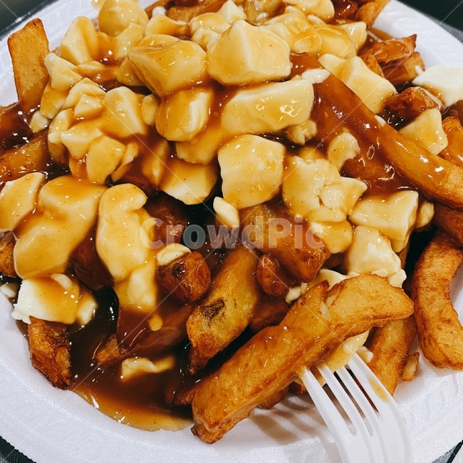 food,음식,meal,식사,감자튀김,그레이비소스,푸틴,캐나다,몬트리올,음식,식재료,요리,food,cook,meal,dishes,food reserves