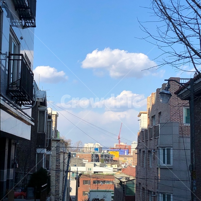 하늘,구름,해,낮,맑음,맑은하늘,점심,건물사이