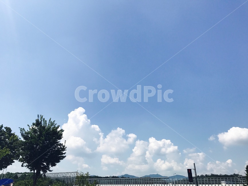 구름,나무,하늘,여름,뭉게구름,자연,풍경,nature,landscape,outdoors,옥외,water,물