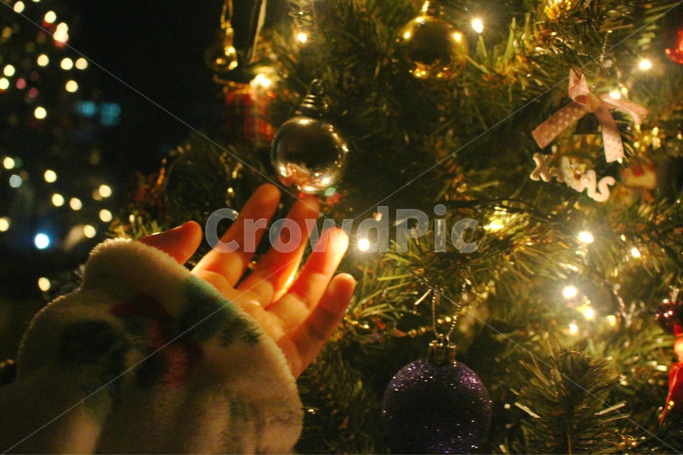 크리스마스,크리스마스트리,크리스마스장식,성탄절,감성사진,christmas,메리크리스마스,체크,빨강,빨간색,초록,초록색,tree,red,green,빛,손,사람,christmas tree,크리스마스 트리,나무,plant,식물,ornament,장식