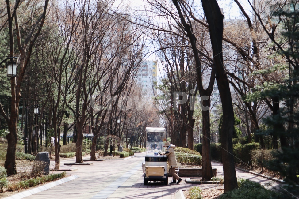 person,사람,human,인간,길,path,street,park,공원,풍경