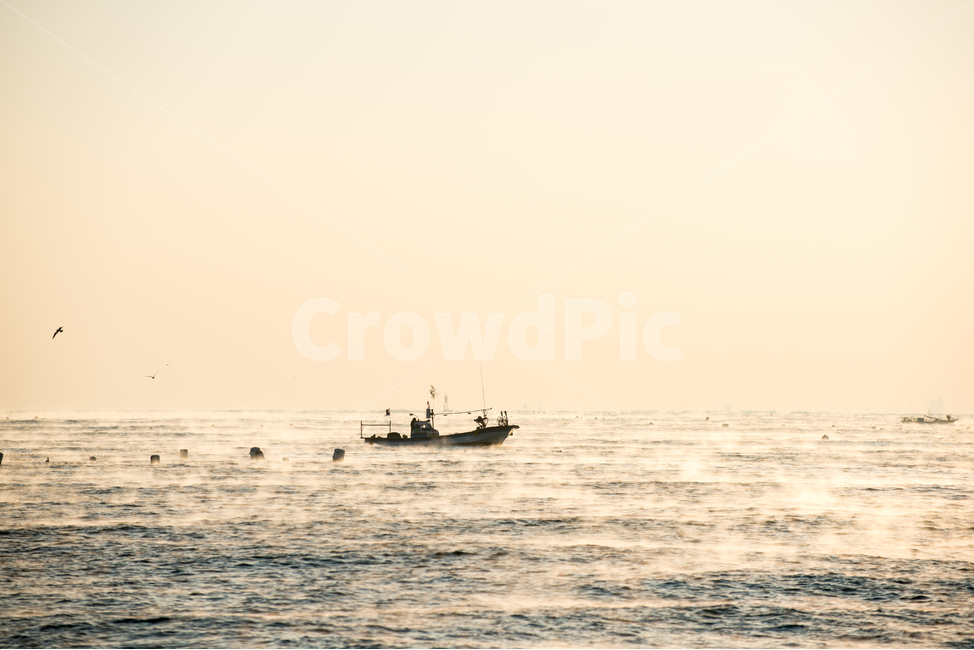 바다,풍경,배,sky,sun,sunset,landscape,일출,물안개,선박,멸치잡이,갈매기,새,ship,sea,seagull,gull,강양항,항구,산업,어업,어선,출어,고기잡이,만선,산업,industry,industrial,어업,fishery,fishing industry,교통,교통수단,traffic,transportation,vehicle,차량,watercraft,boat,보트
