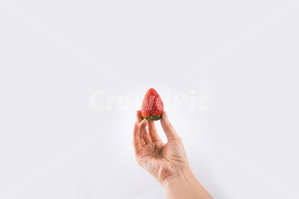 손,딸기,과일,누끼,장희,설향,죽향,음식,식재료,요리,food,cook,meal,dishes,food reserves,과일,열매,fruit,채소,야채,vegetables,누끼,remove background