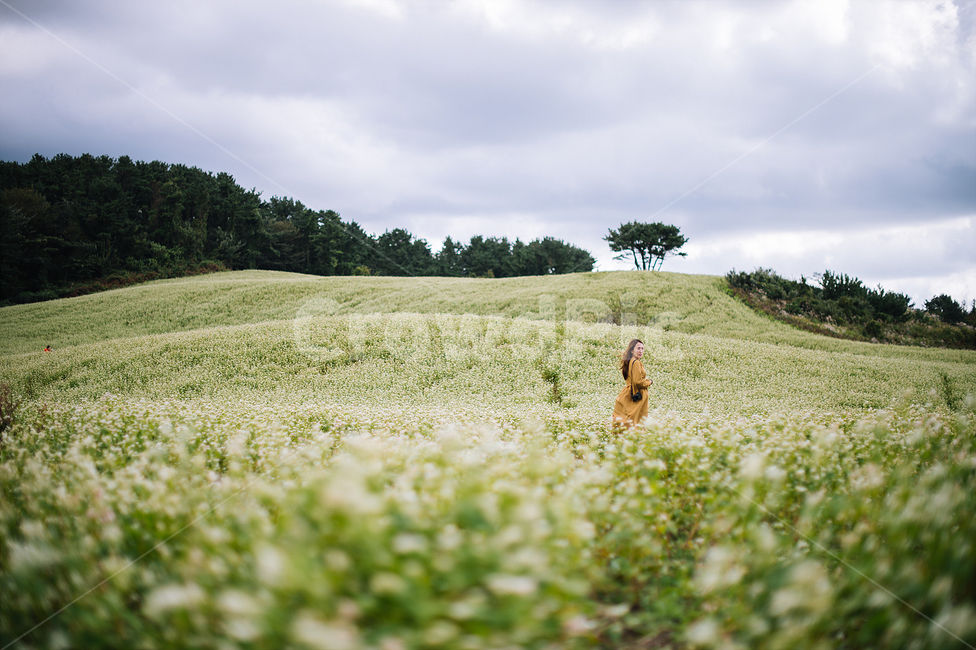 한국자연풍경,여름,휴가,여행,사람,일상,자연,풍경,nature,landscape,한국자연풍경,한국자연경관,korea nature landscape,여성,여자,woman,female,lady,여행,휴가,traveling,vacation,trip,grassland,목초지,outdoors,옥외,field,들,farm,농장,rural,농촌,meadow
