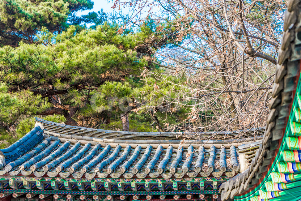 기와,감성,단청,선,패턴,한국전통,한국문화,korean traditional,korean culture,건축물,건물외관,exterior,building,structure,architecture,construction