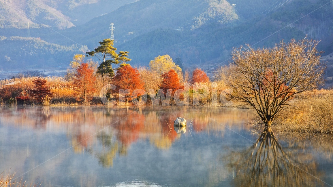 진안,용담호,용담댐,반영,가을,추색,단풍,물안개,계절,경치,경관,풍경,tree,나무,plant,식물,nature,자연,물,가을,계절,fall,autumn,season,자연,풍경,nature,landscape