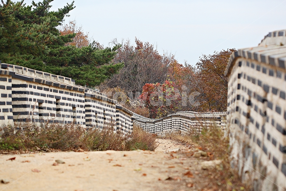 남한산성,성,성곽,단풍,낙엽,길,둘레길,숲,숲길,담,돌담,가을,자연,풍경,벽,울긋불긋,산성,식물,가을,계절,fall,autumn,season