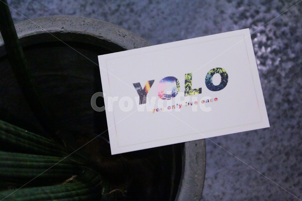 yolo,엽서,postcard,욜로,text,문구