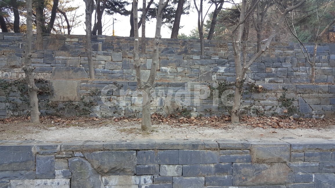 나무,화단,돌,돌담,돌계단,돌화단,나무들,수목,자연,풍경,nature,landscape,path,통로,walkway,보도,wall,벽,flagstone,판석