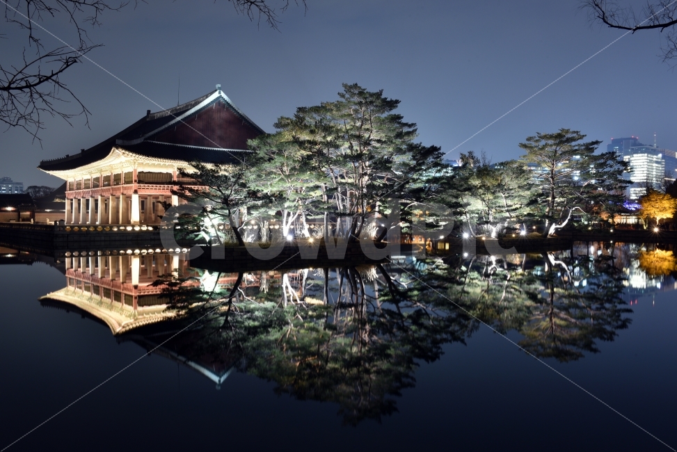 서울,경복궁,야간개장,야경,반영,경회루,나무,조명,Nikon,D750,야경,밤,풍경,nightscape,night,landscape,랜드마크,landmark,tourist attraction,한국전통,한국문화,korean traditional,korean culture,building,건물,architecture,건축물