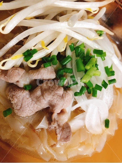 음식,food,pho,쌀국수,베트남,소고기,숙주,면,음식,식재료,요리,food,cook,meal,dishes,food reserves