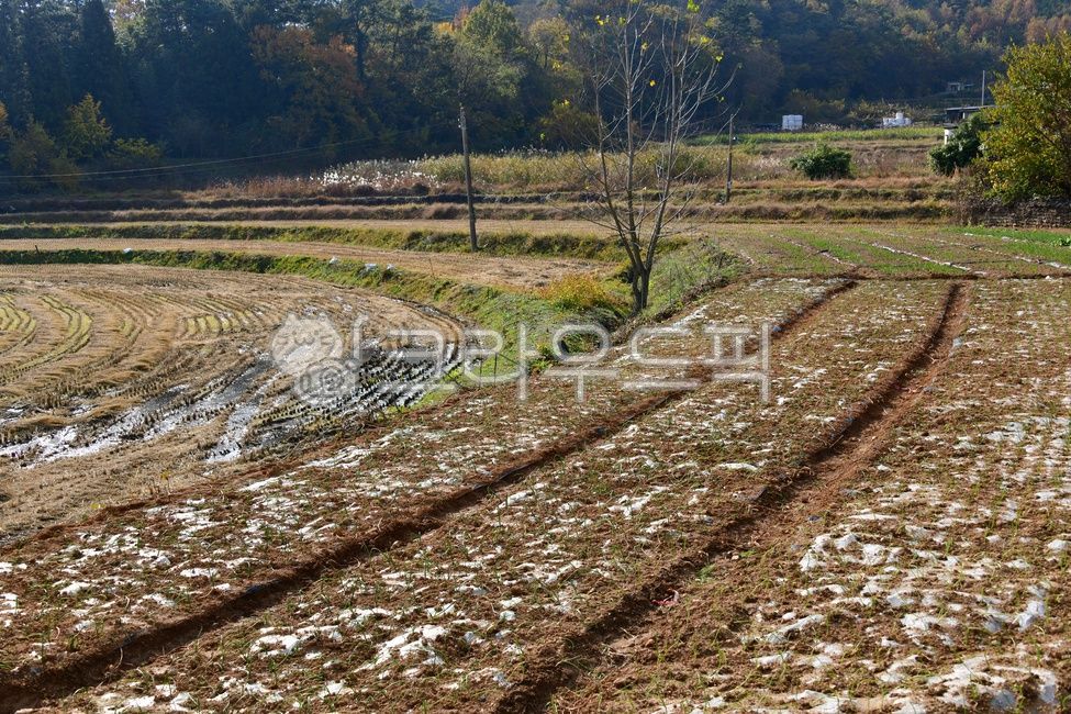 dirtroad, 흙길, ground, 바닥, soil, 사진,이미지,일러스트,캘리그라피 - 영산공작가