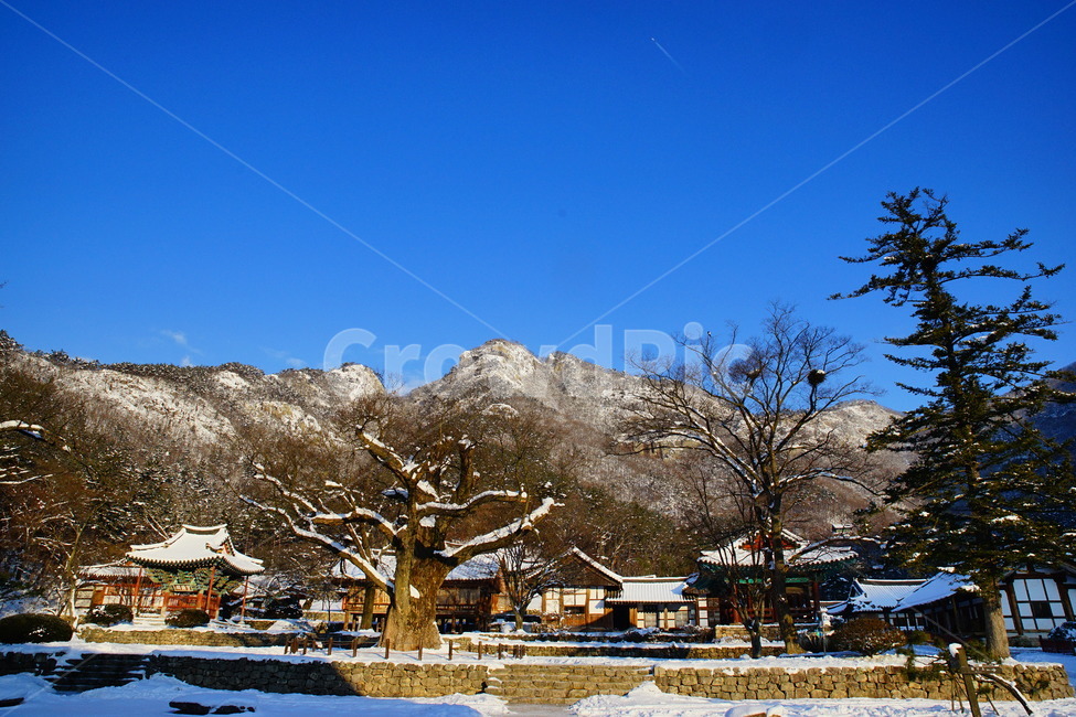 내소사,설경,사찰,부안군,국립공원,겨울,계절,winter,season,자연,풍경,nature,landscape,한국자연풍경,한국자연경관,korea nature landscape,outdoors,옥외,building,건물