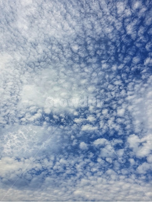 nature,자연,outdoors,옥외,sky,하늘