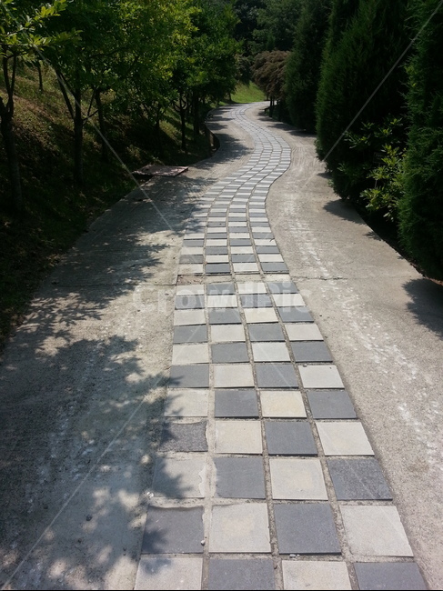 공원,나무,자연,산책,도로,자연,풍경,nature,landscape,flagstone,판석,path,통로,walkway,보도