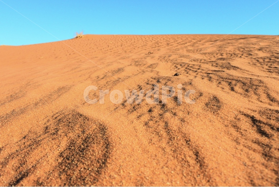 soil,흙,sand,모래,nature,자연,outdoors,옥외,dune,모래언덕,사막,desert