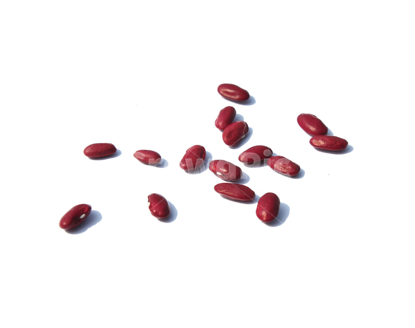 붉은콩,bean,콩,redbean,brown,closeup,dry,food,protein,red,seed,uncooked,vegetable,white,흰배경,야채,붉은색,빨강,말린,단백질,씨앗,요리재료,식재료,요리,음식,음식,식재료,요리,food,cook,meal,dishes,food reserves,콩류,견과류,beans,pulse,nuts,dry fruits,누끼,remove background