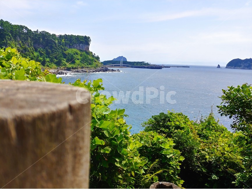 여름,맑은하늘,맑음,제주,새연교,자연,풍경,nature,landscape,promontory,곶,land,땅,outdoors,옥외