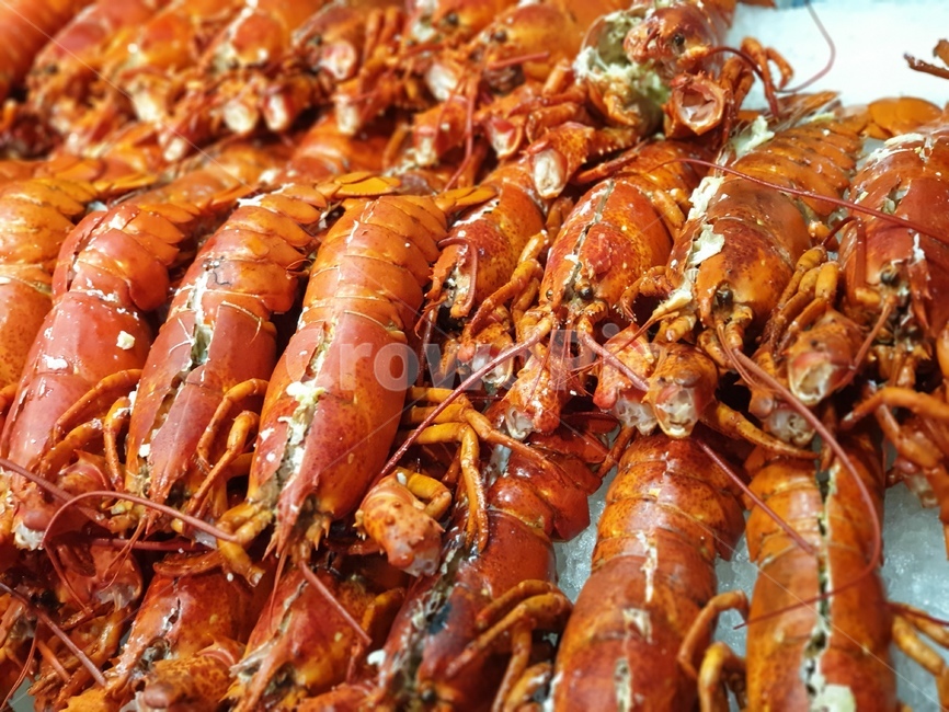 부페,랍스타,바닷가재,lobster,해물찜,찜요리,음식,식재료,요리,food,cook,meal,dishes,food reserves,수산물,해산물,fishery products,seafood