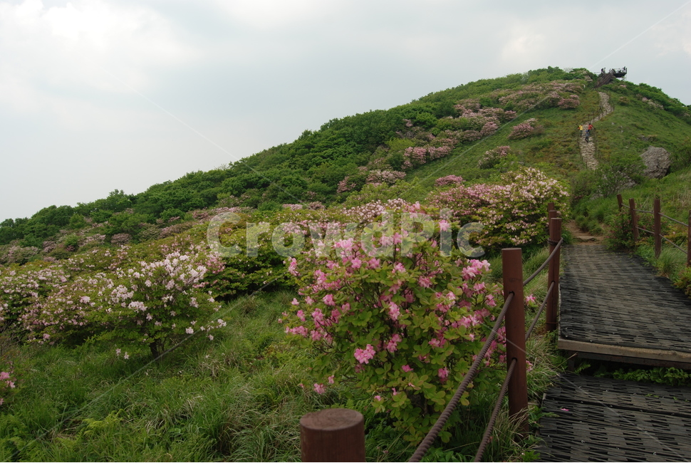 소백산,희방폭포,비로봉,연화봉,희방사,등산로,자연의위대함,능선,아름다움,신비스런산,돌,산행,힐링,자연,감성,등산,계절,여행,한국,한국명산,한국등산,풍경,눈,나무,하늘,바람,바람소리,환경,생태계,산,땅,자연,풍경,nature,landscape,한국자연풍경,한국자연경관,korea nature landscape,outdoors,옥외