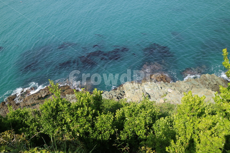 바다,나무,자연,풍경,바위,절벽,햇빛,파도,물,여름,nature,land,sea,water,ocean,shoreline,coast,해변,바다,beach,sea