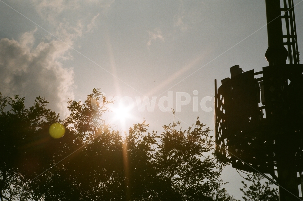 flare,light,플레어,빛,역광,전봇대,구름,나무,수풀,숲,태양