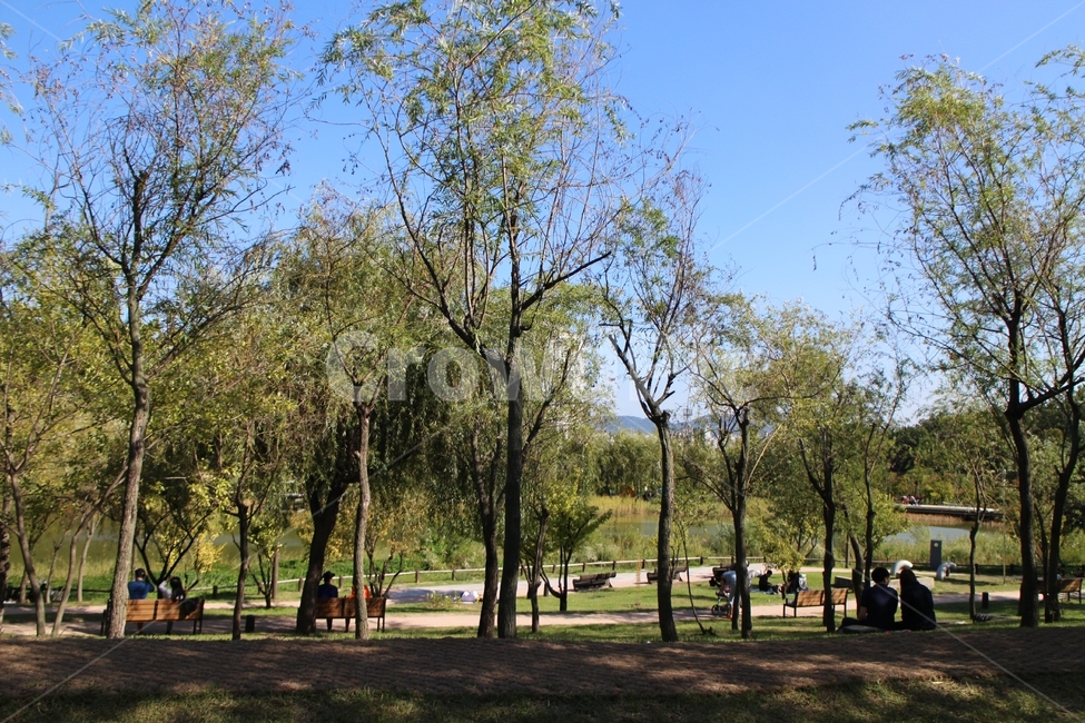 남이섬,자연,숲,풍경,잔디,여유,휴식,푸른,초록,자연,풍경,nature,landscape,사람들,대중,군중,other people,crowd,grass,plant,식물,park,공원,outdoors,옥외,lawn,tree,나무