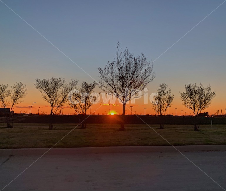 노을,하늘,나무,해,sunset,sky,tree,road,차도,길가,찻길,햇빛,풍경,landscape,배경화면,background,자연,풍경,nature,landscape,outdoors,옥외