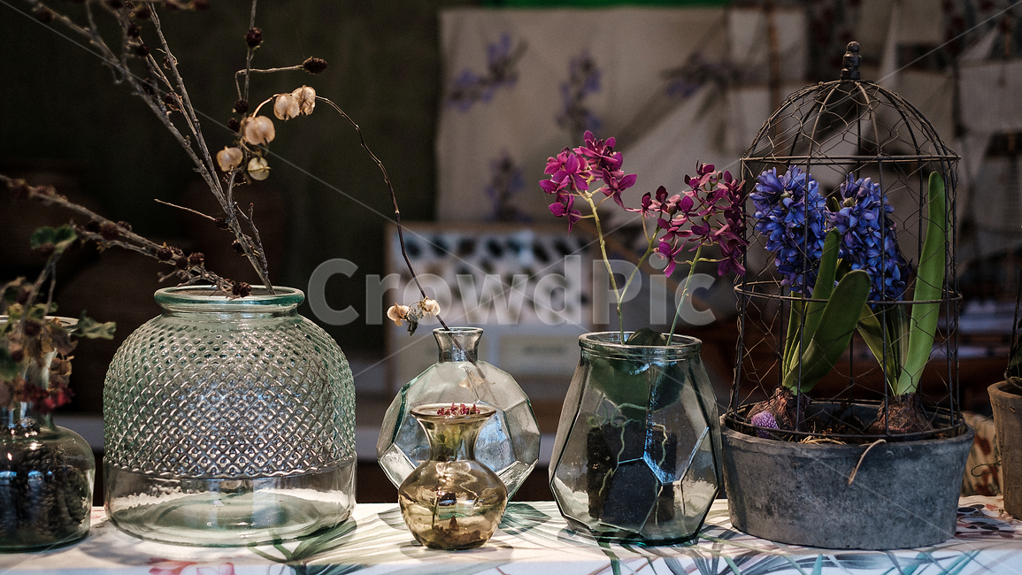 서울식물원,식물원,감성사진,인테리어,interior,화분,꽃,실내용화초,화분,화초,house plant