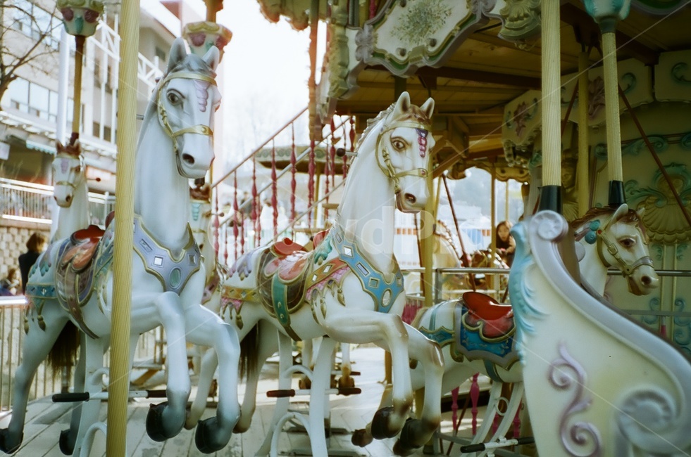 놀이동산,회전목마,테마파크,말,merrygoround,놀이공원,놀이동산,놀이터,amusement park,playground,감성,sensible,feeling