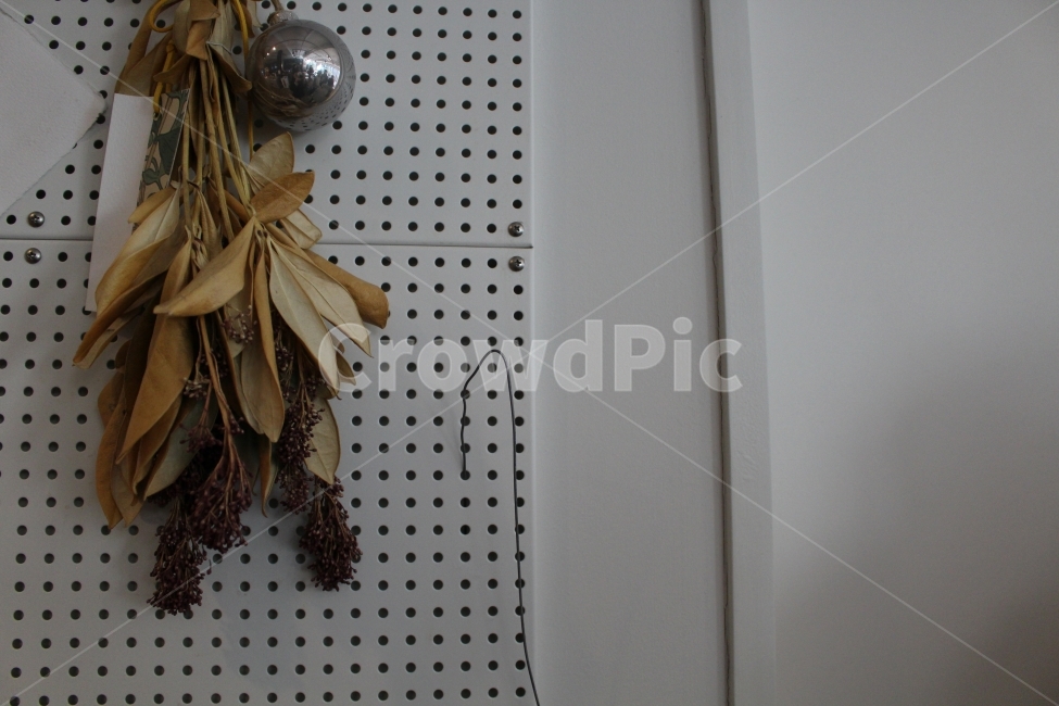벽,인테리어,꽃,드라이플라워,타공판,꽃,flower,실내용화초,화분,화초,house plant,인테리어,실내디자인,interior design