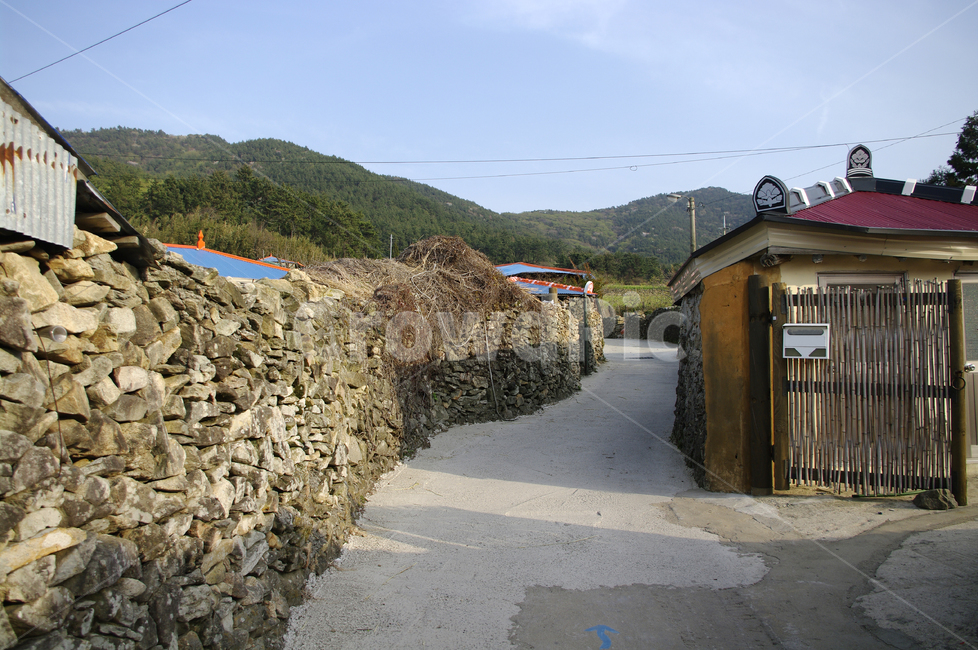 청산도,골목길,길,돌담길,돌담,집,시골,농촌,지붕,대문,시골,마을,풍경,landscape,country,rural,town,골목길,alley,nature,자연,outdoors,옥외