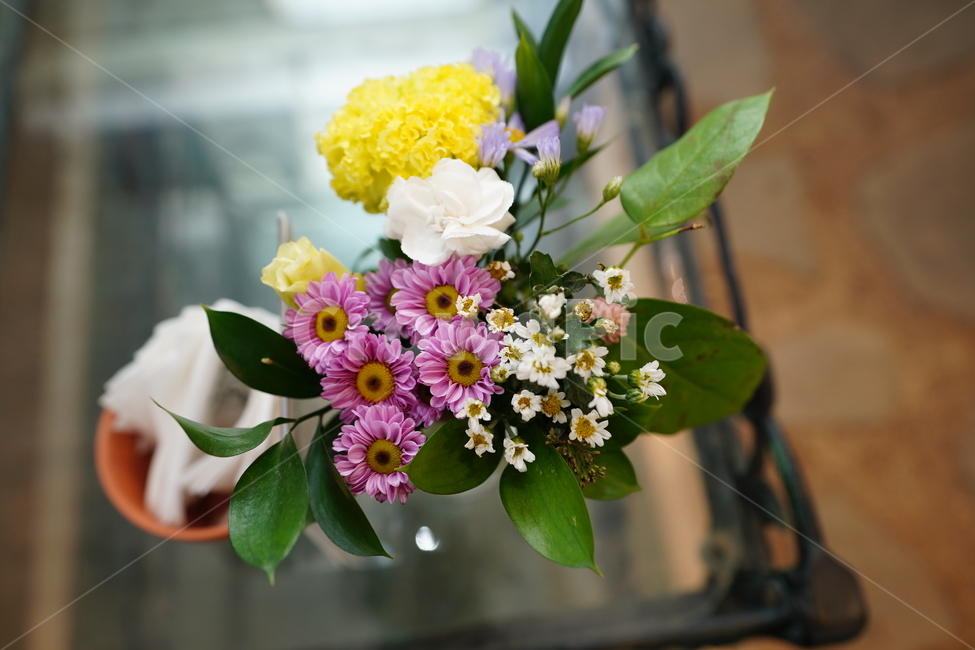 꽃,플라워,flower,감성,색감,컬러,식물,생물,생명,화병,인테리어,장식,잎,식물,자연,plants,nature,꽃,flower,실내용화초,화분,화초,house plant