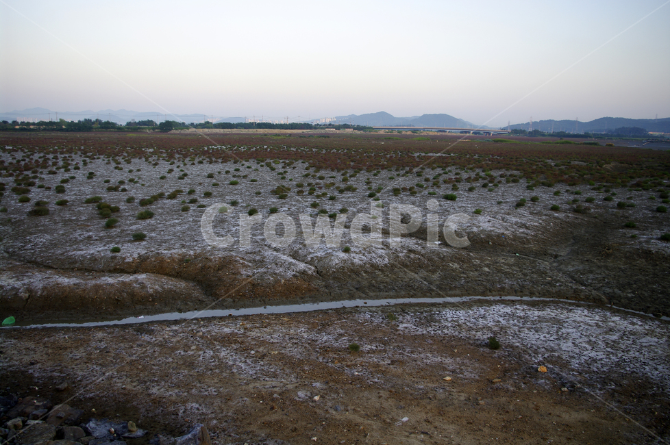 갯벌,뻘,습지,생태공원,하늘,자연,풍경,nature,landscape,ground,바닥,dirt road,흙길,road,도로,gravel,자갈,outdoors,옥외,land,땅