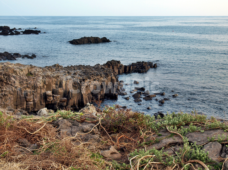 올레8코스,올레길,일몰,제주,서귀포시,바다,주상절리,자연,풍경,nature,landscape,제주도,jeju,jeju island,outdoors,옥외