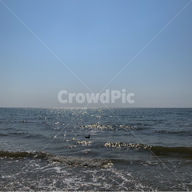 바다,새,자연,기분전환,물,자연,풍경,nature,landscape,water,outdoors,옥외,sea,ocean,대양