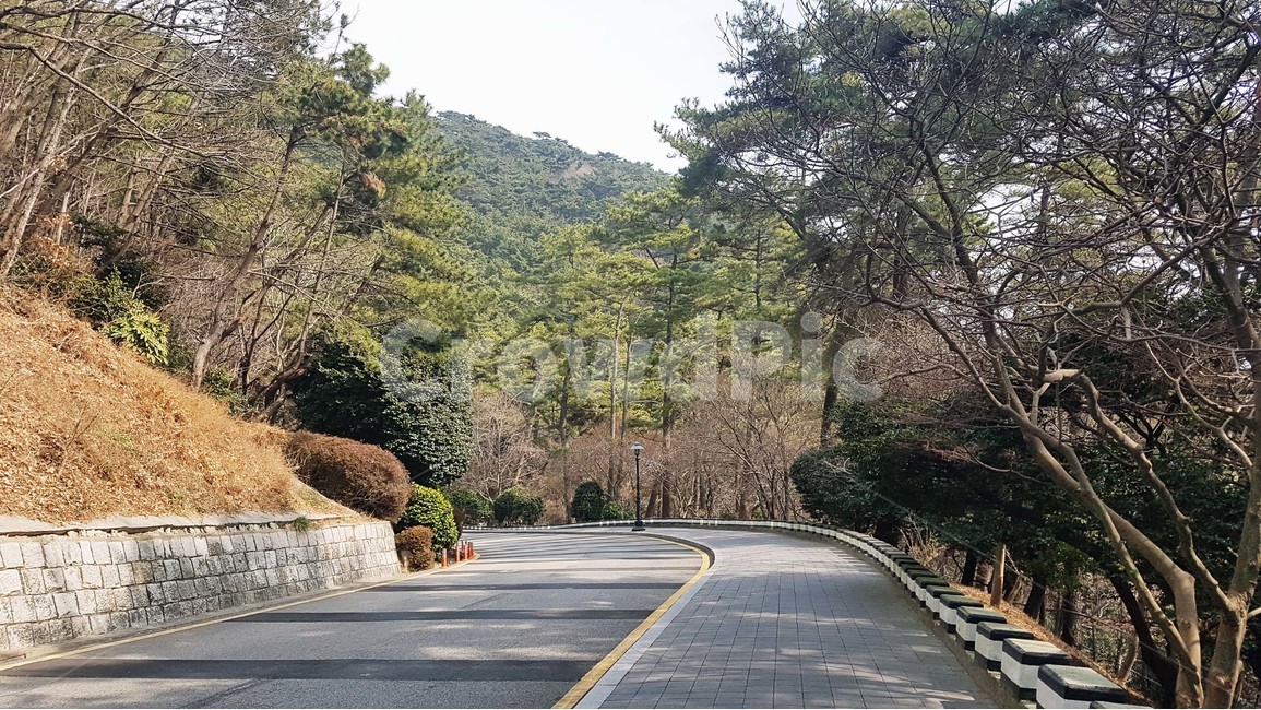 도로,길,길가,가로수,나무,나들이,여행,자연,숲,오솔길,울타리,나뭇가지,가지,인도,차도,자연,풍경,nature,landscape,교통,교통수단,traffic,transportation,road,asphalt,아스팔트,highway,고속도로,freeway,고속 도로