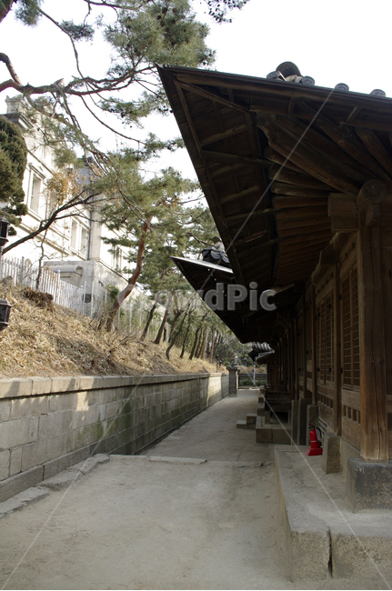 전통,한옥,tradition,나무,건축물,wood,한국전통,한국문화,korean traditional,korean culture