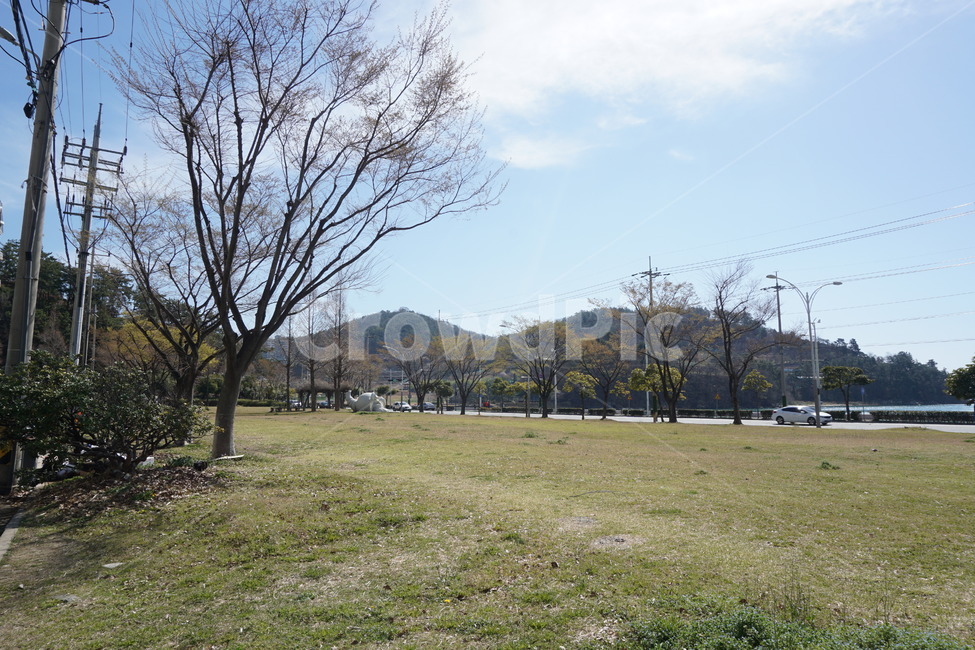 하늘,구름,들판,봄,잔디,나무,자연,풍경,맑은날,햇빛,3월,여수,grass,nature,outdoors,식물