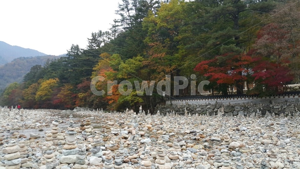 설악산가을,가을나무,단풍,단풍나무,단풍구경,흐린날씨,흐린날,가을날씨,가을풍경,설악산