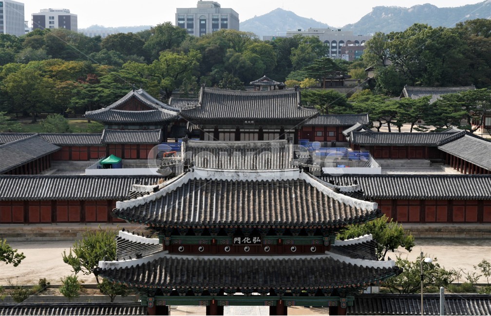 창경궁,전통,고궁,가을,풍경,한국전통,한국문화,korean traditional,korean culture,랜드마크,landmark,tourist attraction,한국랜드마크,한국관광지,한국명소,korea landmark,korea tourist attraction,건축물,건물외관,exterior,building,structure,architecture,construction