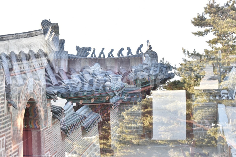 덕수궁,서울,덕수궁돌담길,기와,한국,전통,곡선,나무,자연,궁궐,궁,고궁,서울여행,한국여행,한국사진,치미,한국전통,한국문화,korean traditional,korean culture,건축물,건물외관,exterior,building,structure,architecture,construction