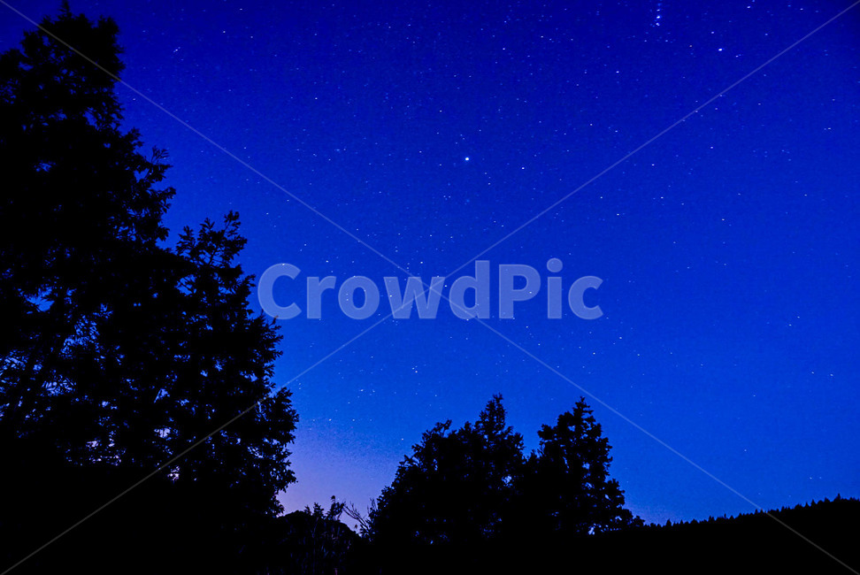 별,밤,겨울,풍경,새벽,야경,밤,풍경,nightscape,night,landscape,실루엣,그림자,silhouette,shadow,nature,자연,outdoors,옥외