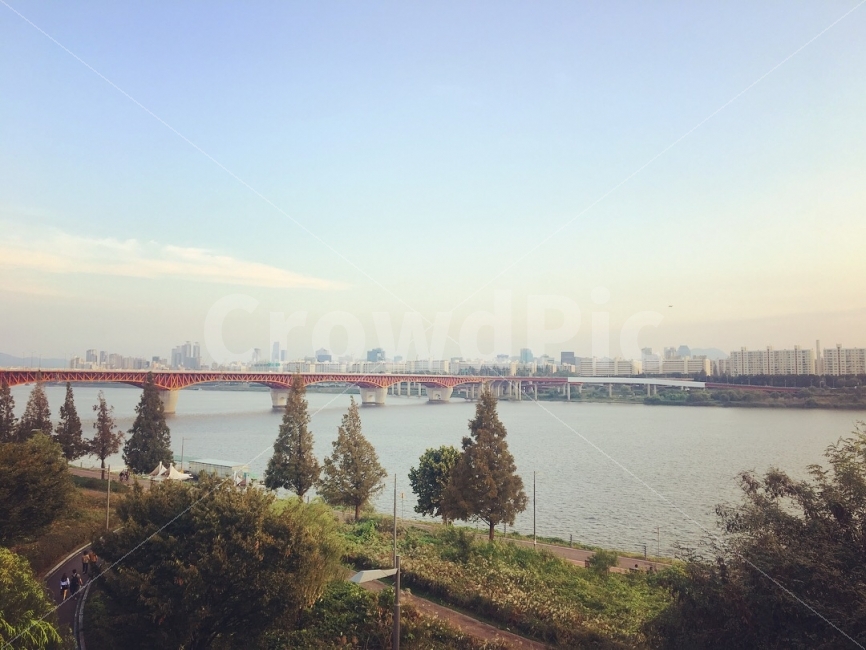 서울,한강,성수대교,풍경,강변,한강다리,도시,풍경,city,landscape,한국도시풍경,한국도시경관,korea cityscape,plant,식물,tree,나무