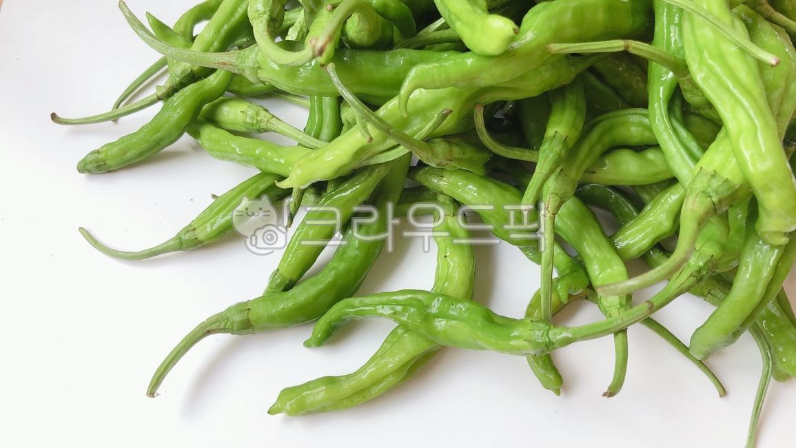 고추,꽈리고추,야채,식재료,반찬재료