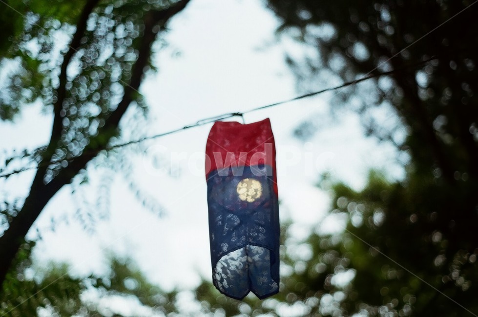 하늘,한국,한국적인,조명,light,전통,전통적인,traditional,sky,나무,숲,tree,한국전통,한국문화,korean traditional,korean culture